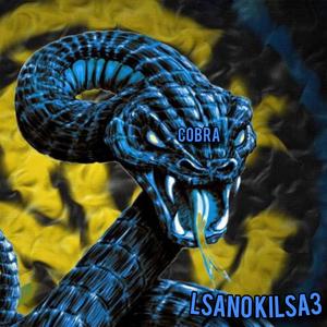 Lsano kilsa3