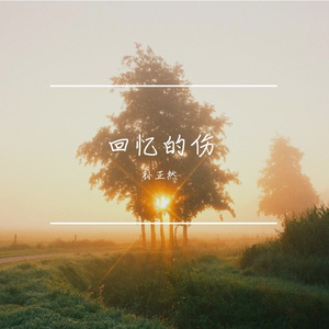 回忆的伤Prod.Y-Shane