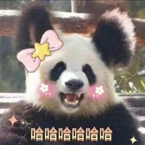 とんちんかんちん 一休さん 《聪明的一休》