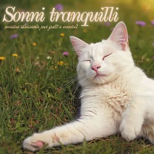 Sussurri al chiaro di luna