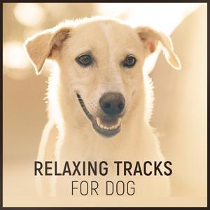 Animal Reiki Therapy Music