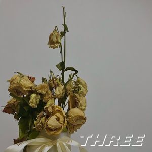 一年前的回忆录