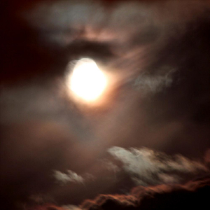 All The Pretty Little Horses