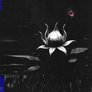 NUMERICAL (GB DEMO 2012)