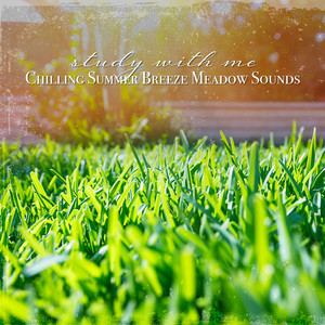 Chilling Summer Breeze Meadow Sounds, Pt. 11