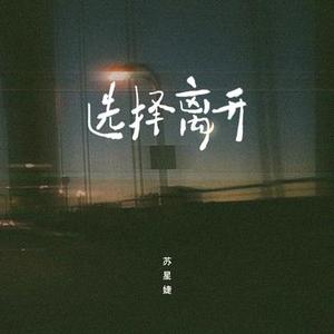 选择离开 (DJAh版)