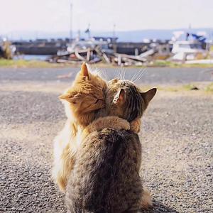 小李小李我只爱你（Prod.by URBOIWHELAN）