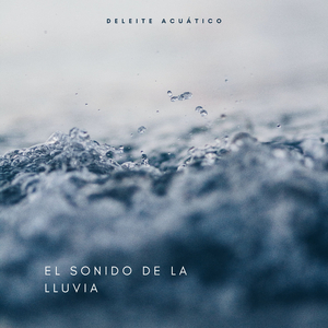 Lluvia Mojada