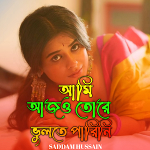 আমি আজও তোরে ভুলতে পারিনি