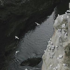 踏山河