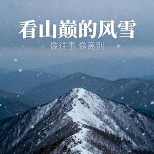 看山巅的风雪