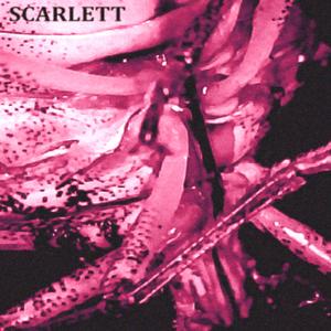 SCARLETT