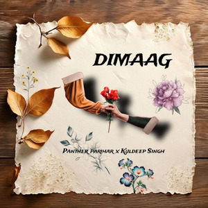 DIMAAG