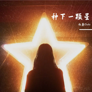 种下一颗星 伴奏