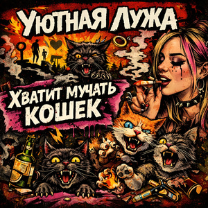 Хватит мучить кошек