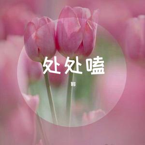 【卿涛】处处嗑