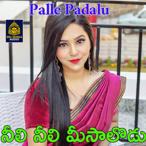Neeli Neeli Meesalodu (Palle Padalu)