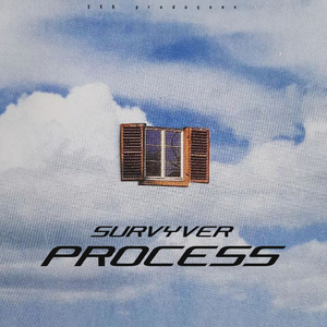 Process