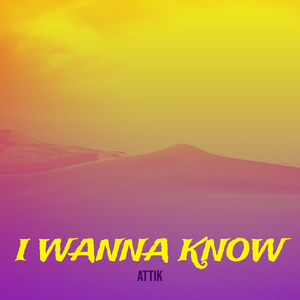 I Wanna Know