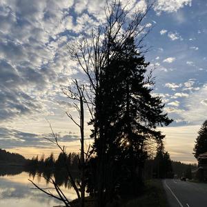 Crisp (remix) (remix)