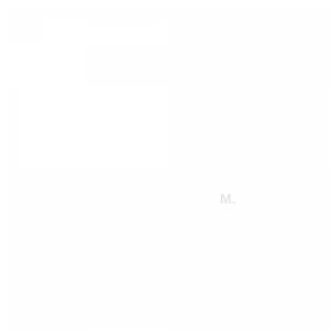 Летний ливень