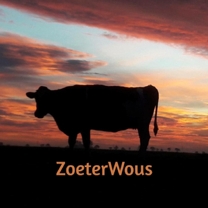 Sigaretten Junk