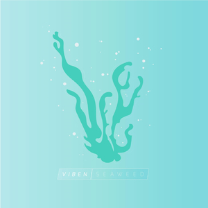 Seaweed