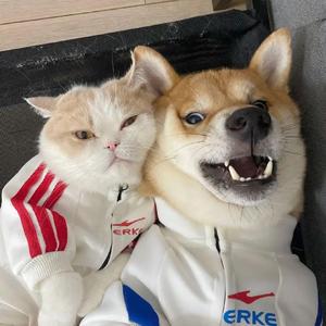 IMG_2022-04-01_07:08:36_0