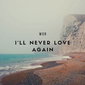 I‘ll Never Love Again