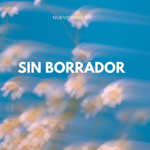 Sin Borrador