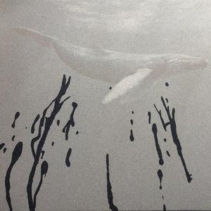 只有海洋才配有孤獨