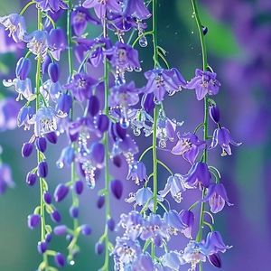 总有一天你会出现再我身边