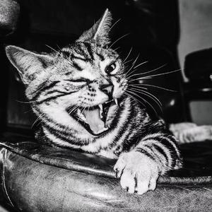 梁老师Tsong-不如不见面（赵九山Remix,原唱梁老师Tsong）（赵九山- remix）