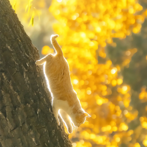 all the day(ProdbyRedKiller)✨