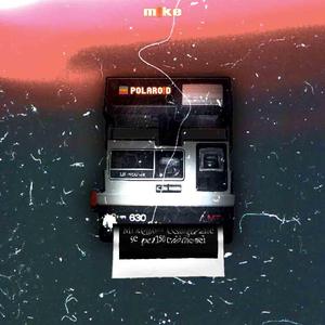 POLARO!D