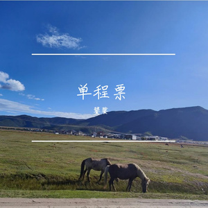 单程票