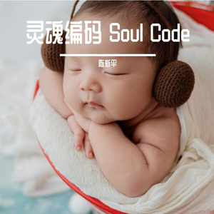 轻快出发陈新平