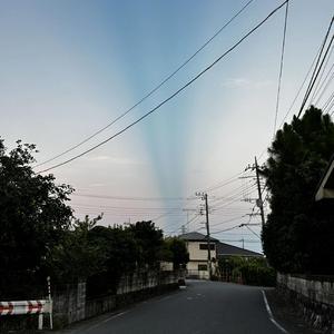 ある日の出来事（An Incident One Day）