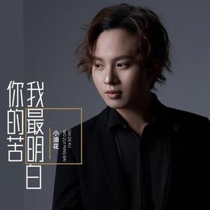 你的苦我最明白