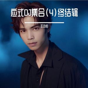 一个人的寂寞两个人的错dj