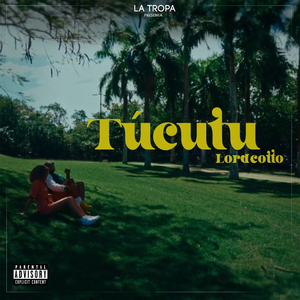 Túcutu