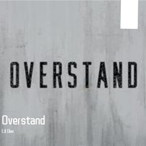 LeoBi sengoku BASARA