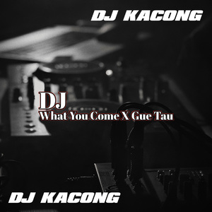 DJ What You Come X GUE Tau