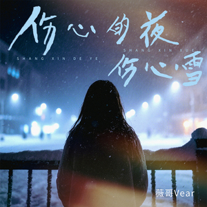 伤心的夜伤心雪