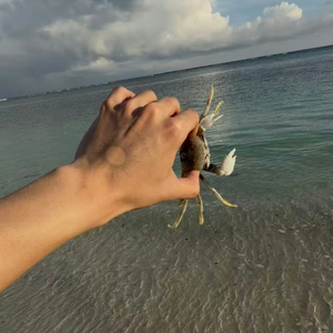 一路欢歌(送给云旗)