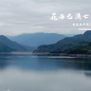 花海已消亡 伴奏