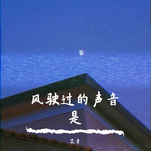 风驶过的声音remix