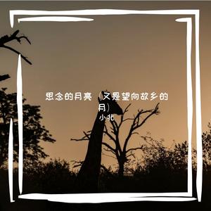思念的月亮（又是望向故乡的月）
