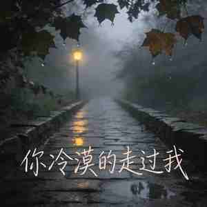 你冷漠的走过我