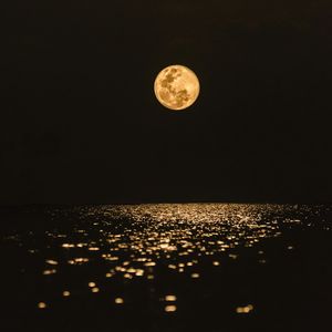 海边月夜的伤怀